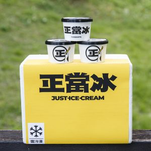 冰淇淋獨享杯 100ml（12入組/箱）